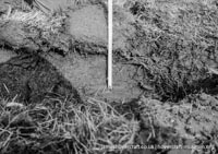 AP1-88 hovercraft during trial flights
